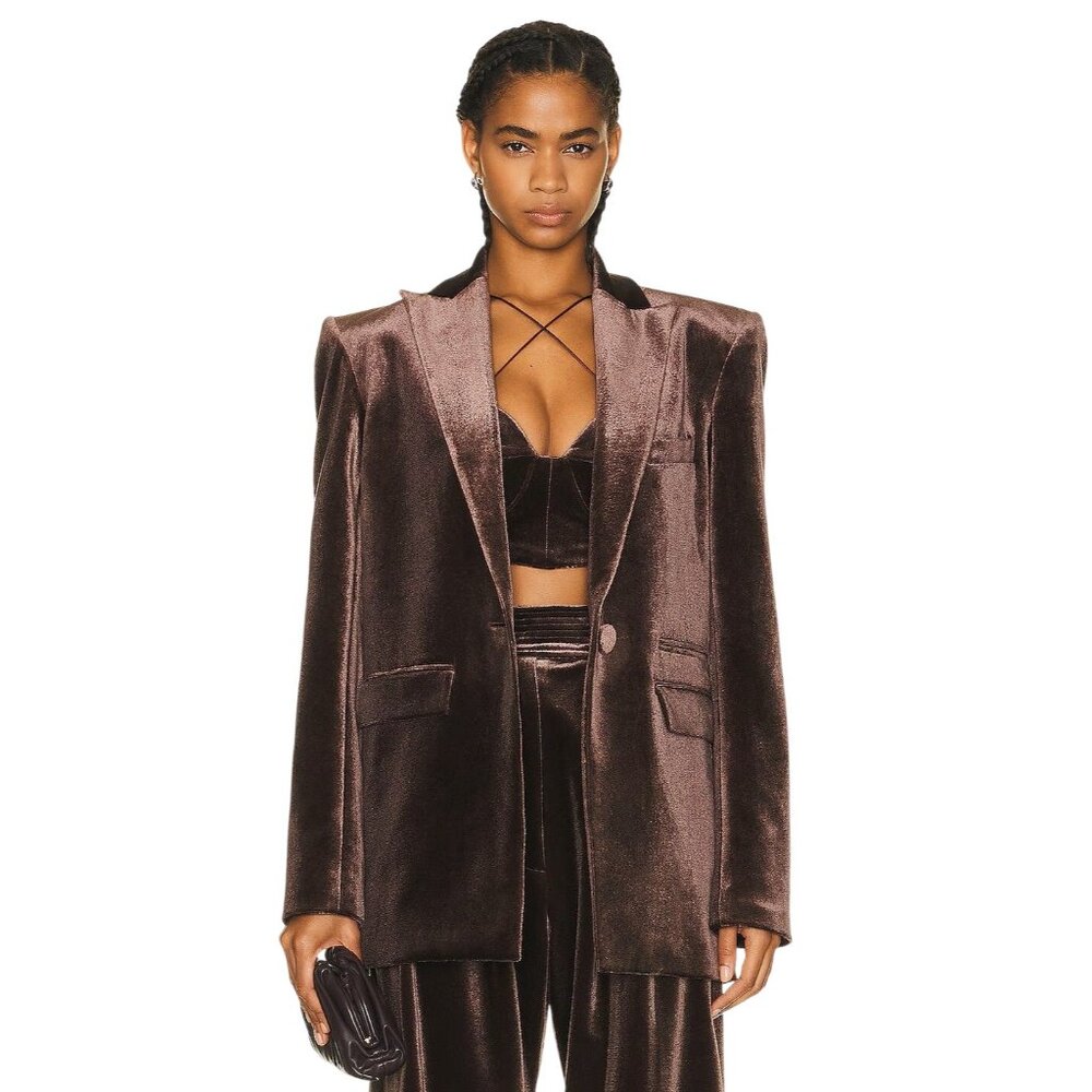 Alex Perry Barlow Velvet Oversized Blazer in Brown 2 New Womens Jacket